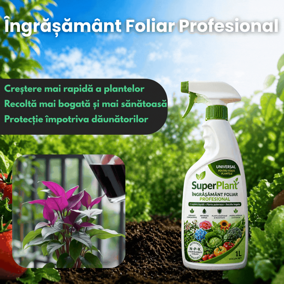 Ingrasamant Foliar Profesional