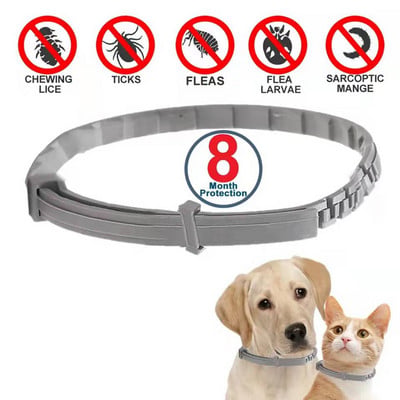 Zgarda Anti-Purici PETHEALTH™