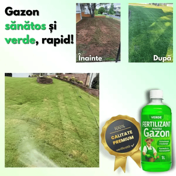Soluție CREȘTERE-RAPIDĂ pentru Gazon