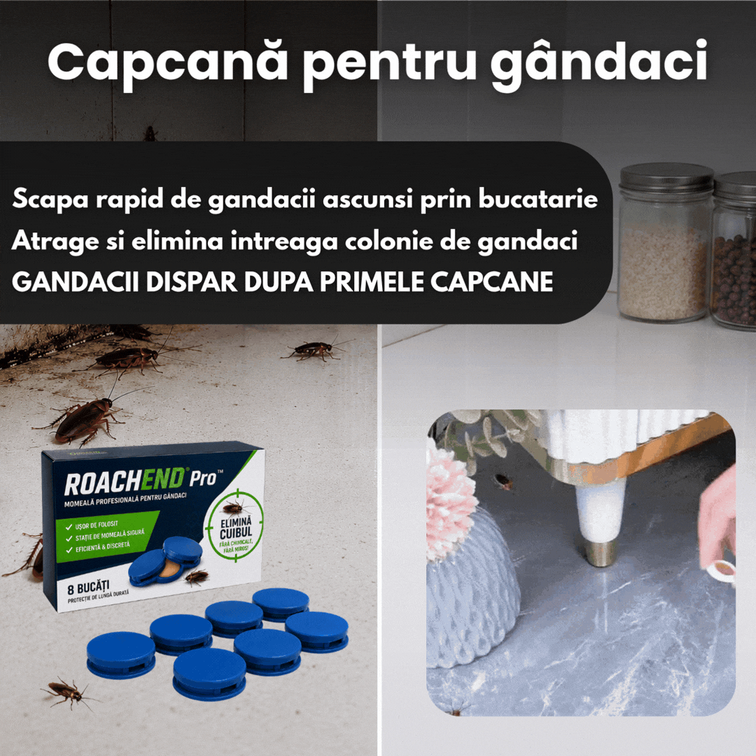 Capcană pentru gândaci