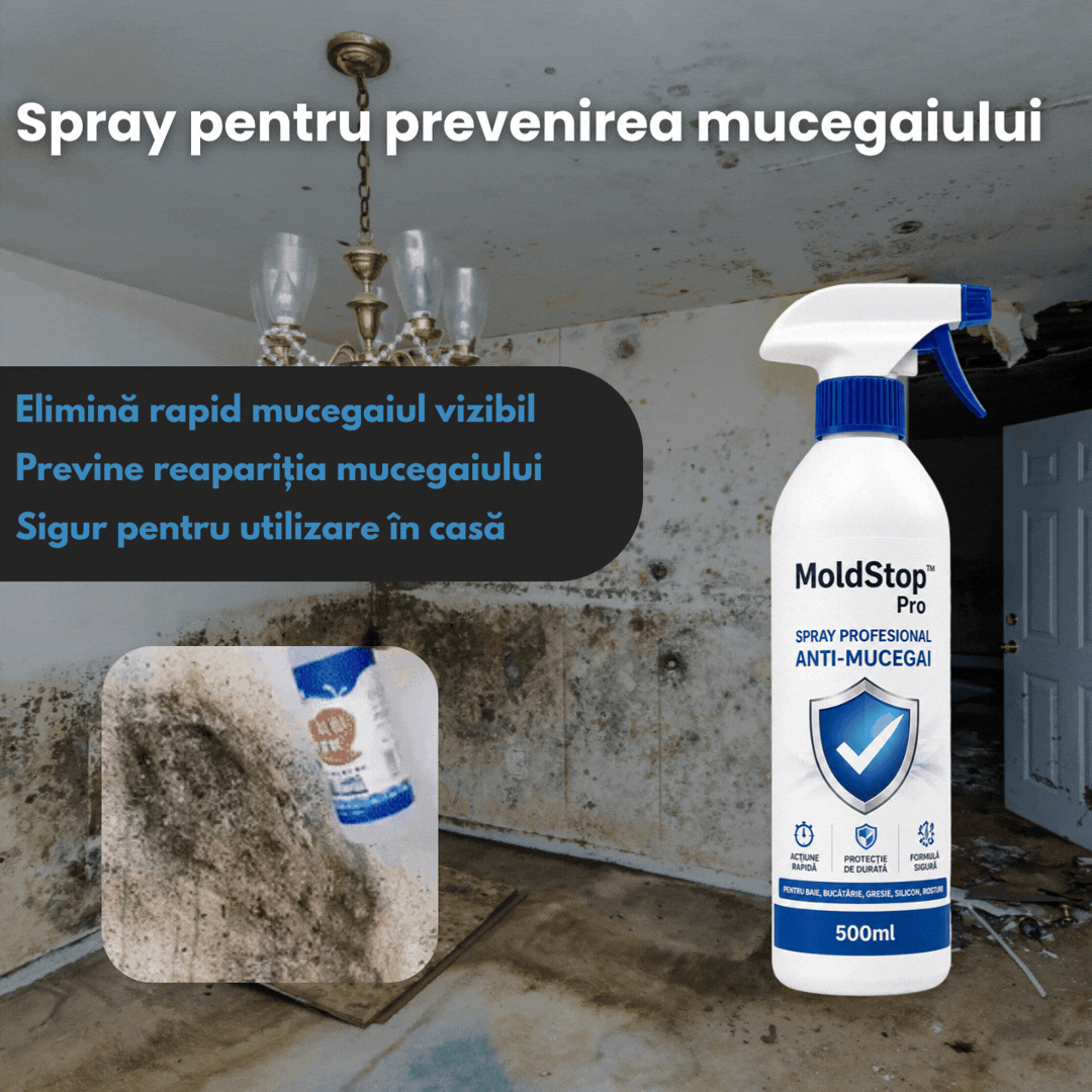 Spray pentru prevenirea mucegaiului