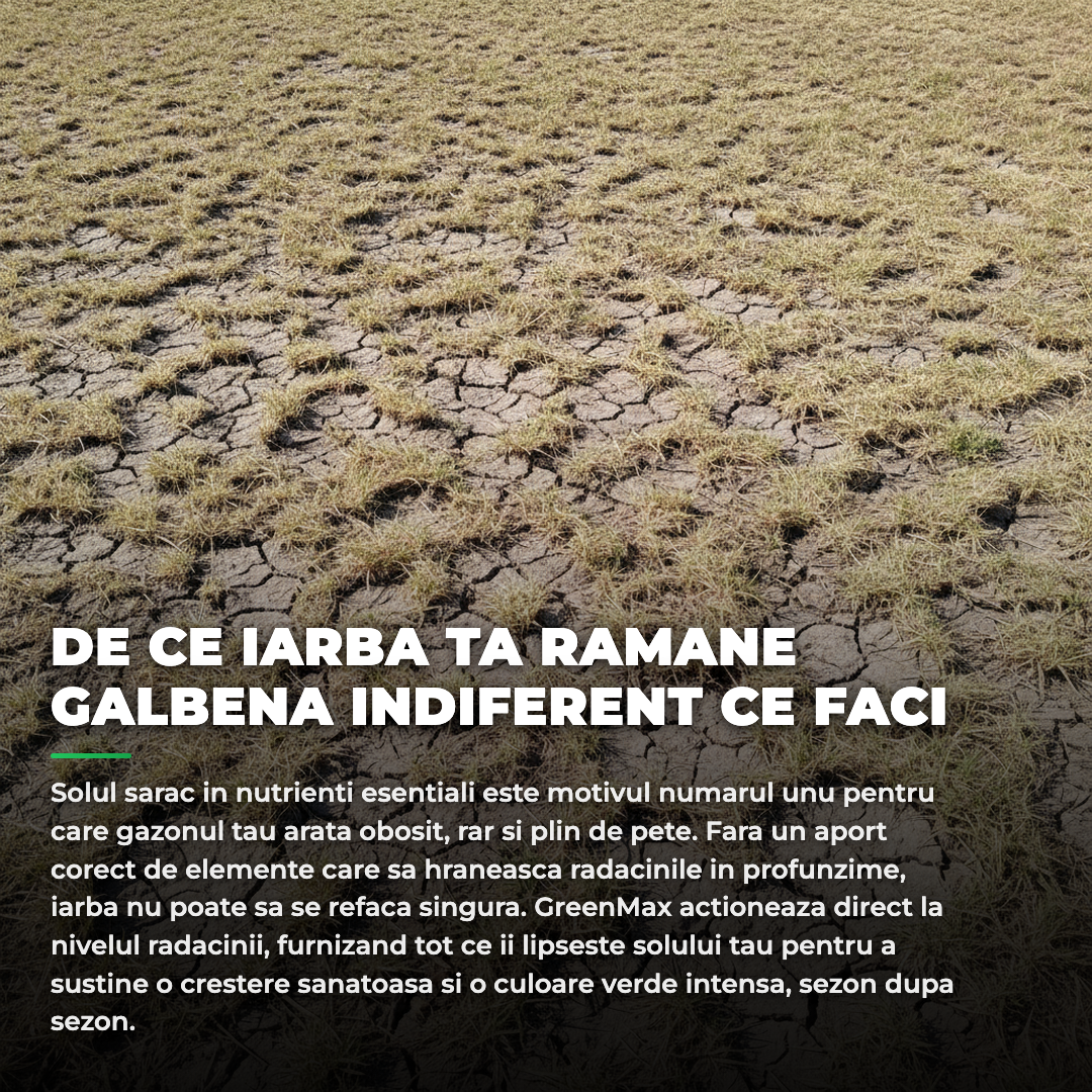 gazonarexmare-info1